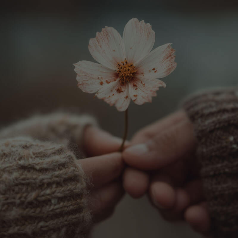 What's Their Secret Love Language Quiz - Designed With Meaning